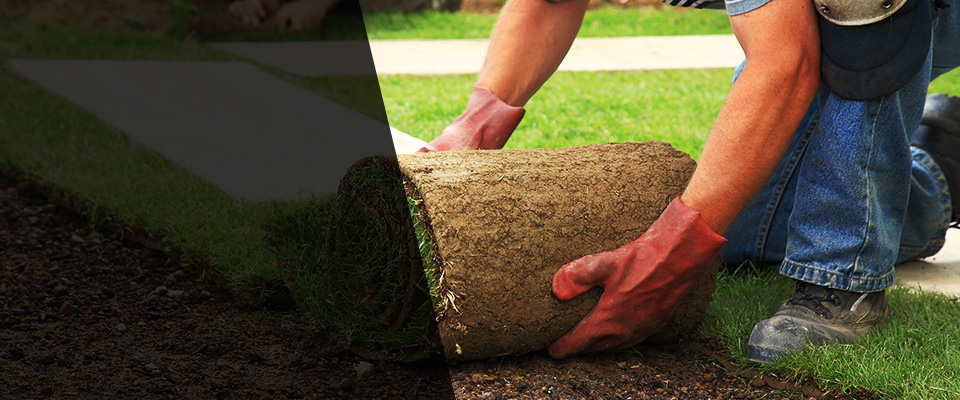 Narragansett Landscapers